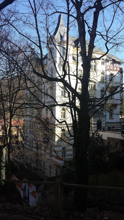 Villa Sofia Apartments Karlovy Vary Ngoại thất bức ảnh